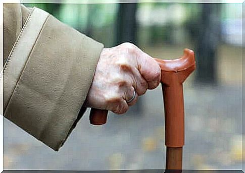 Cane-Fu: the new martial art for the elderly