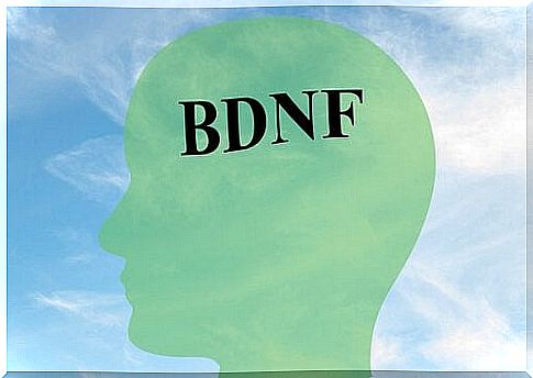How to increase BDNF, a key protein for healthy brain cells