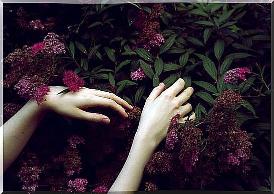 hands-flowers
