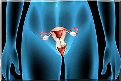 Ovarian cysts: symptoms, causes and treatments