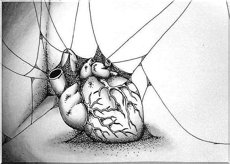 heart-spiderwebs