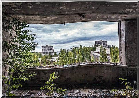 Chernobyl landscape