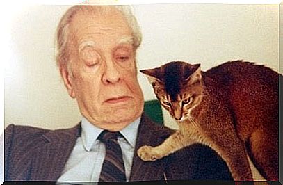 Jorge Luis Borges: biography of a scholar